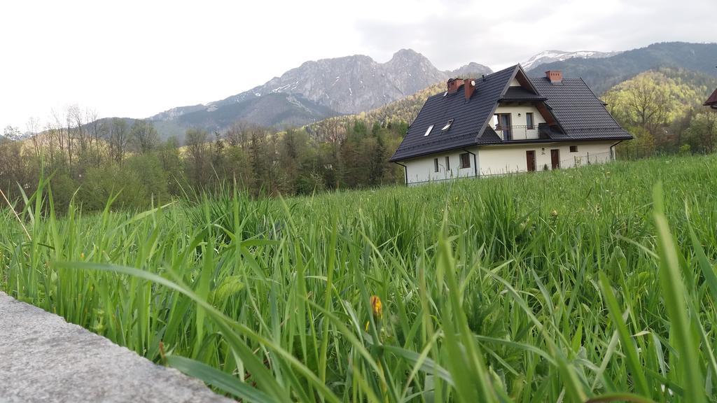 Willa W Dolinie Cichej Wody Zakopane Dış mekan fotoğraf