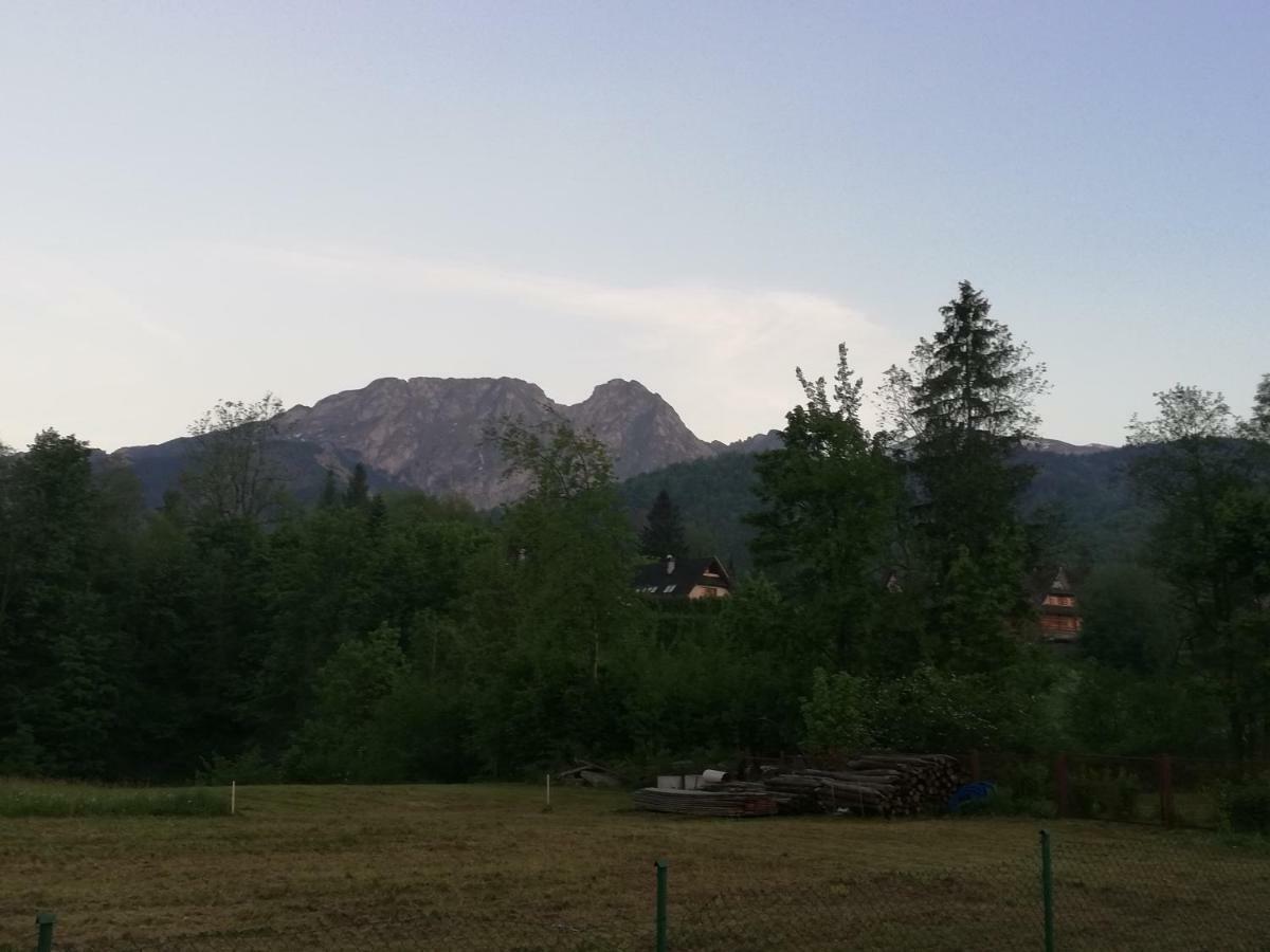 Willa W Dolinie Cichej Wody Zakopane Dış mekan fotoğraf